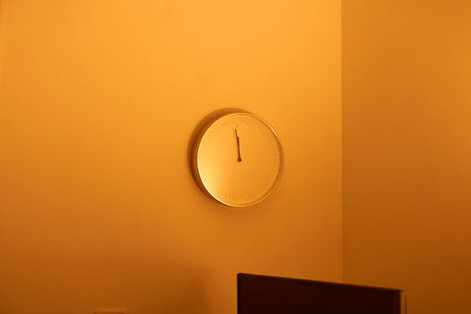 light timing for circadian rhythm - Step-by-step: implement light timing for circadian rhythm