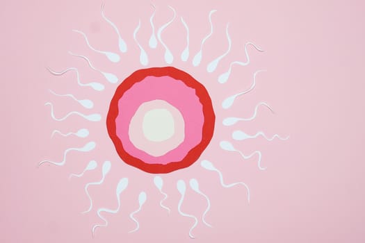 basal body temperature fertility tracking - Understand the goal of basal body temperature fertility tracking