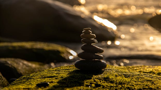 HRV stack protocol - Step-by-step: run the HRV stack protocol end to end