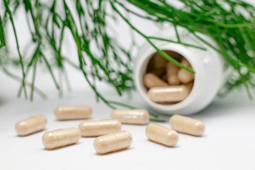 supplements that support autophagy mTOR AMPK stacking - What “stacking” means in this context