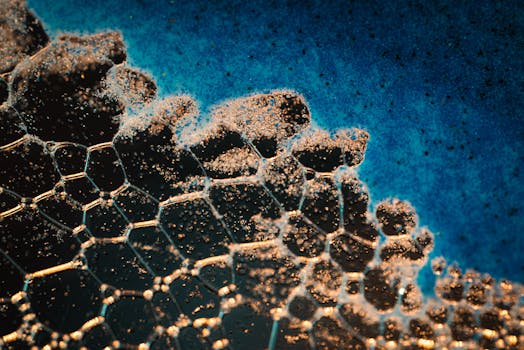 cellular senescence explained - Where senescence shows up in the body