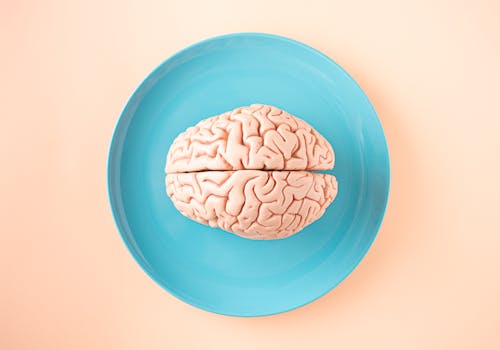 how to improve neuroplasticity - Move your body: physical activity supports brain remodeling