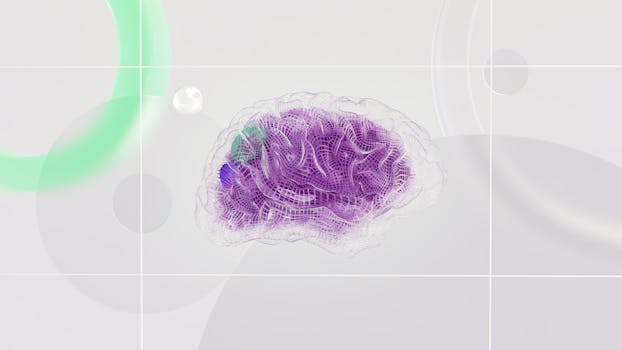 how piracetam works in the brain - Synaptic plasticity and neurotransmission: indirect support for learning