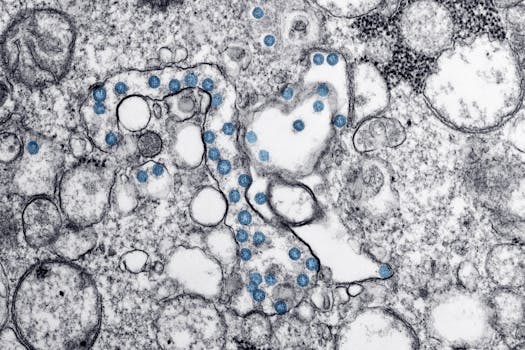 AMPK mTOR ULK1 pathway - How the pathway decides between growth and recycling