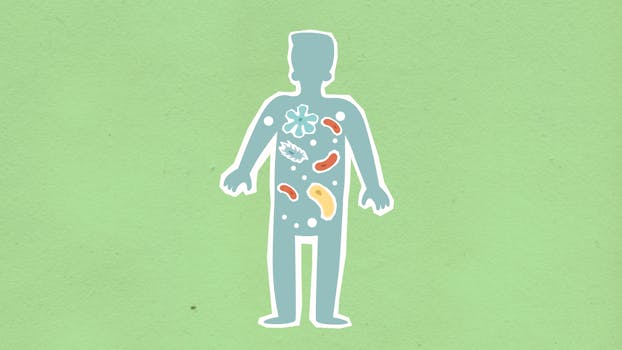 oral microbiome how it works biofilm - Biofilm basics: how microbes organize into a protective community
