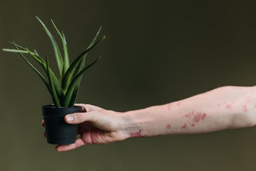 eczema hives contact dermatitis triggers immune signals - Common triggers and what they do to immune signaling