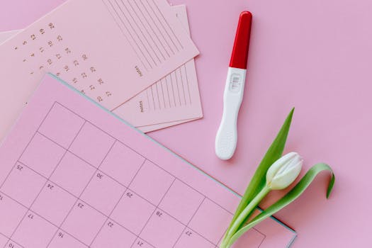 basal body temperature vs ovulation predictor kits vs cervical mucus - Final verdict: which option fits your needs best?