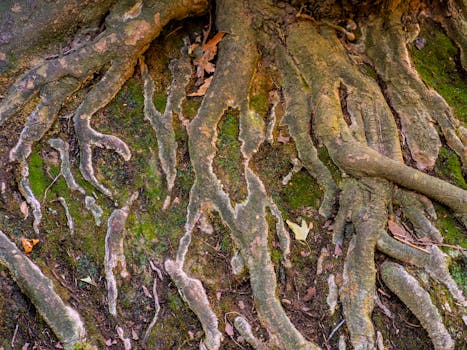 attention drift root causes systems map - Root cause cluster 2: Task friction and decision overload