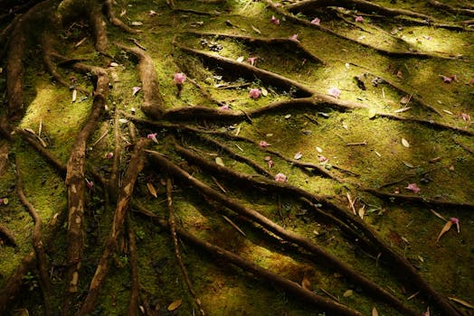attention drift root causes systems map - Practical examples: diagnosing drift from real triggers