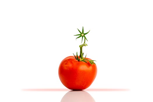 oxidative stress 101 ROS antioxidants - Prevention Guidance: Keeping Oxidative Stress in a Healthy Range