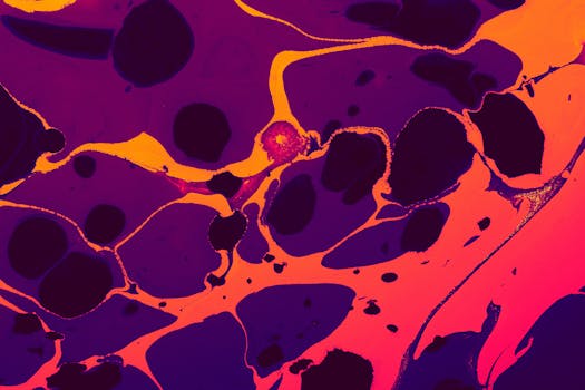 LC3 p62 autophagy marker interpretation - What practical workflow can you follow to interpret LC3 and p62 in your own study?