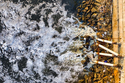 water filter buying guide reverse osmosis carbon distillation contaminant removal - Key features and specifications that matter for contaminant removal