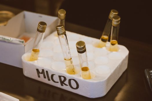 microbiome test troubleshooting sampling diet antibiotics contradictory results - Microbiome test troubleshooting: a step-by-step repair process