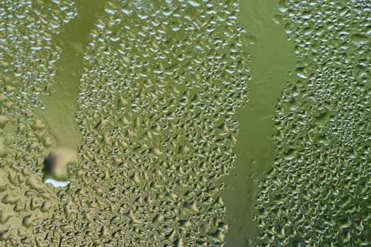 mold risk humidity condensation hygrometer thresholds - Explanation of the most likely causes