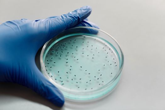 semen analysis interpretation motility morphology volume - Why semen analysis interpretation matters for fertility