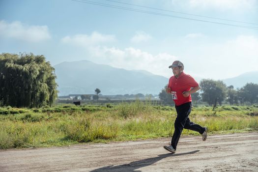 best biomarker panel for longevity tracking CRP IL-6 HbA1c lipids - What’s being compared: four longevity signals and how panels combine them
