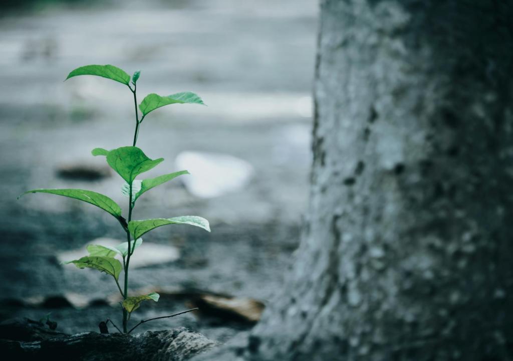 blog-12