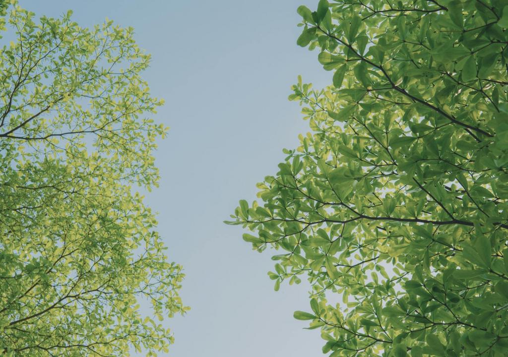 blog-12